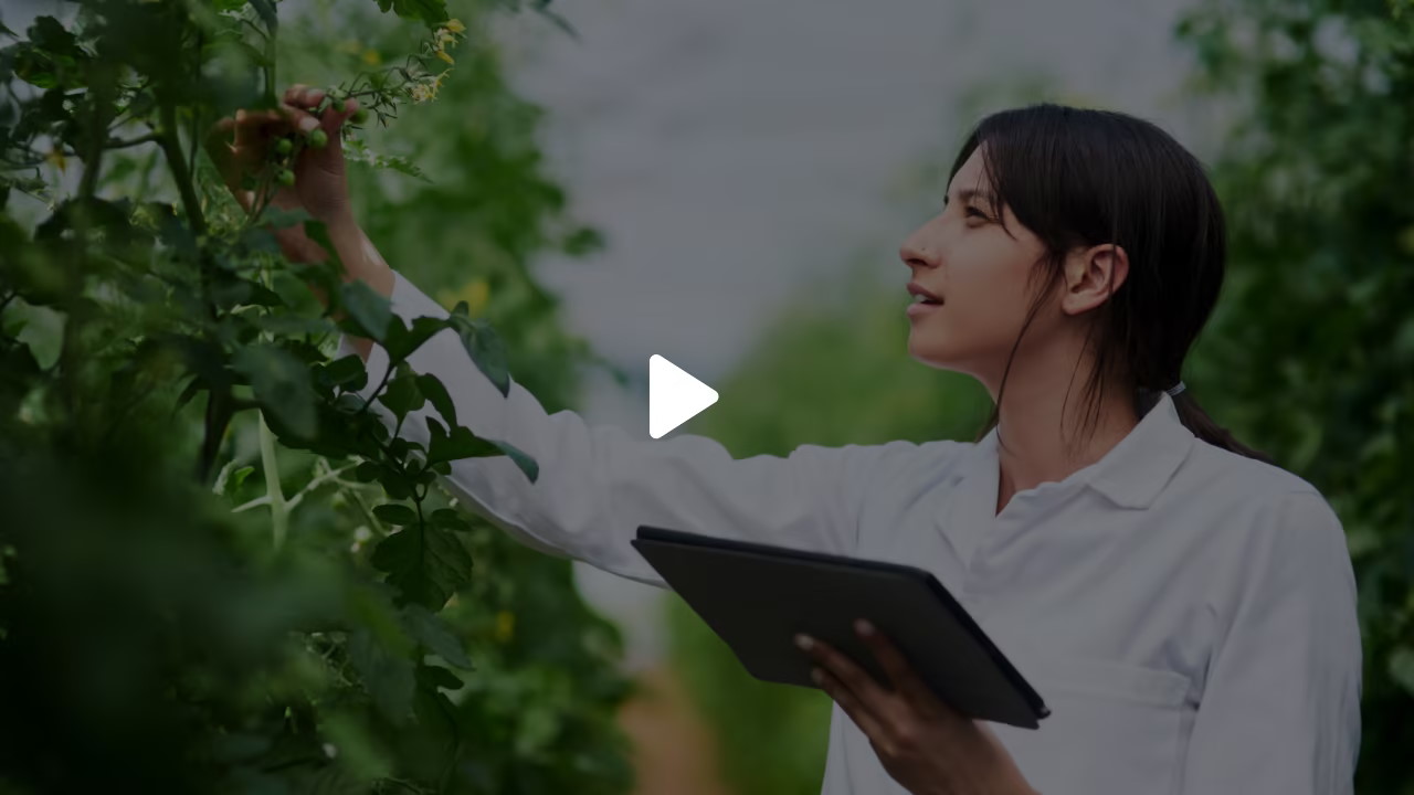 vimeo video